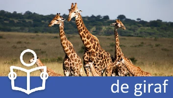 Giraf