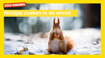 Lesaanbod groep 1,2 en 3