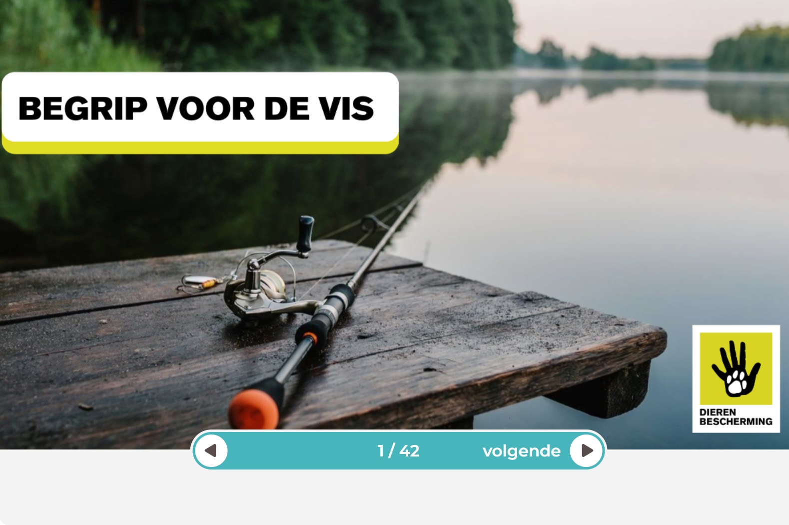 Begrip voor de vis (groep 6-7)
