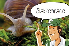 Dieren
