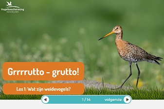Vijf digitale lessen