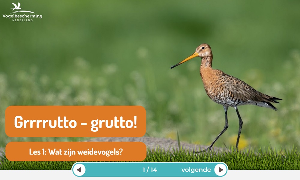 Ga naar het lesmateriaal