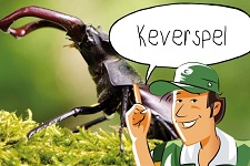 Keverspel | groep 4-6