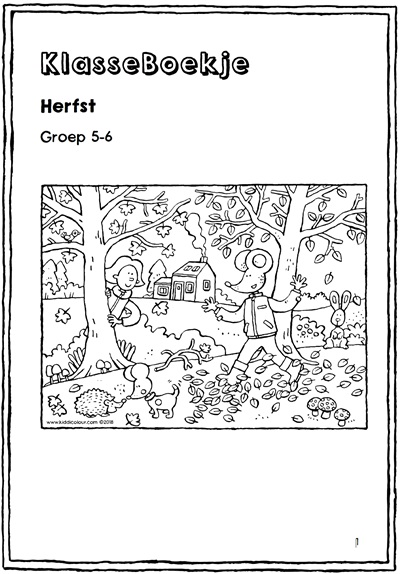 Groep 5-6