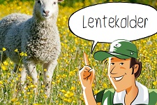 Lentekolder | groep 1-5