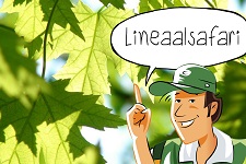 Liniaalsafari: Meten is weten | groep 5-8