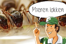 Mieren lokken | groep 4-6