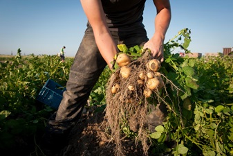 Van grond tot mond