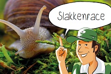 Slakkenrace | groep 1-6