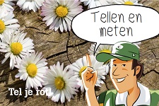 Rekenen