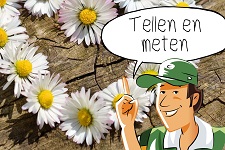 Tellen en meten: Tel je rot! | groep 3-8