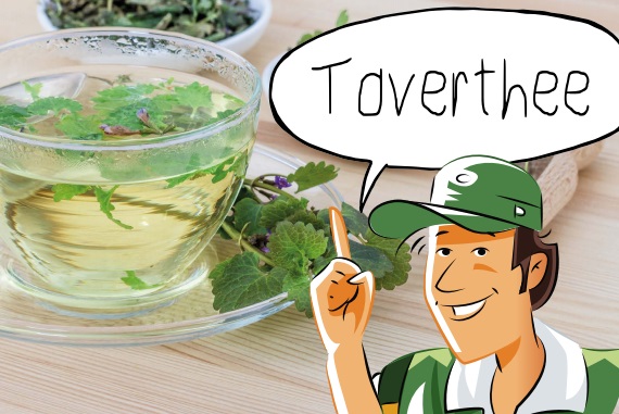 Toverthee | groep 6-8