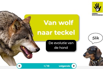 Van wolf naar teckel (groep 7)