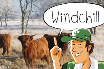 Winter deel 1