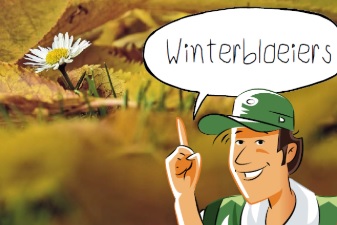 Groei en bloei