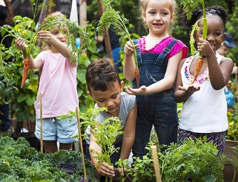 Digibordlessen over groente en fruit