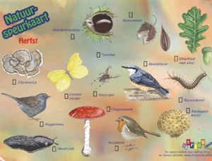 Natuurspeurkaarten